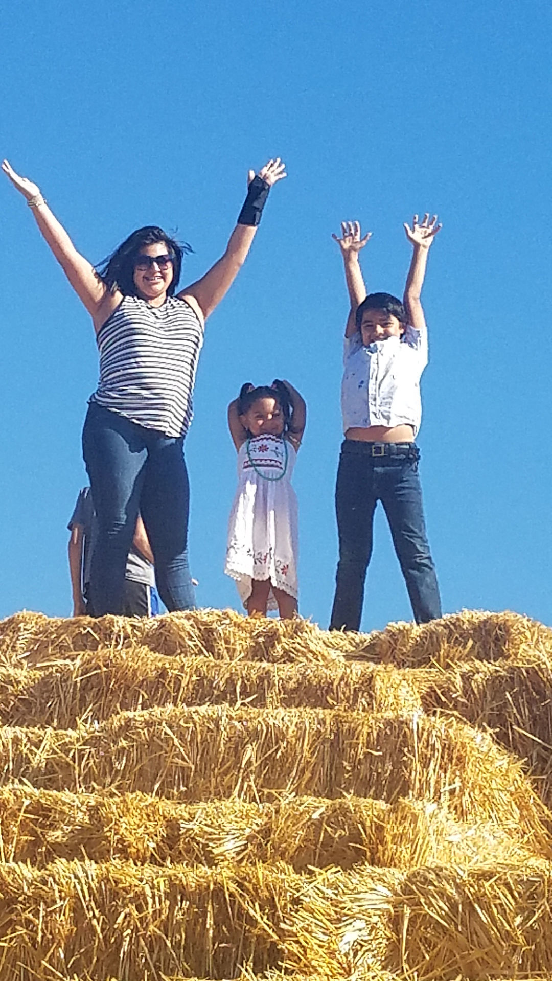 Pumpkin Patch